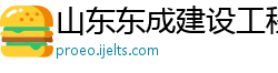 山东东成建设工程咨询有限公司